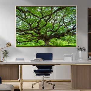 Angel Oak Tree Wall Art Canvas Print – Framed Majestic