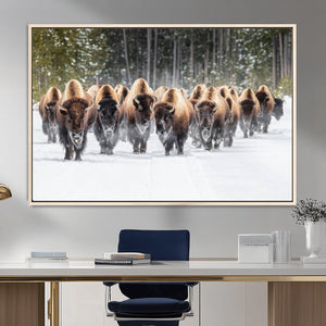 American Bison Herd Wall Art Canvas Print – Powerful Winter
