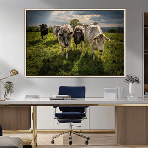 Grazing Cattle Herd Pasture Green Field Livestock Natural