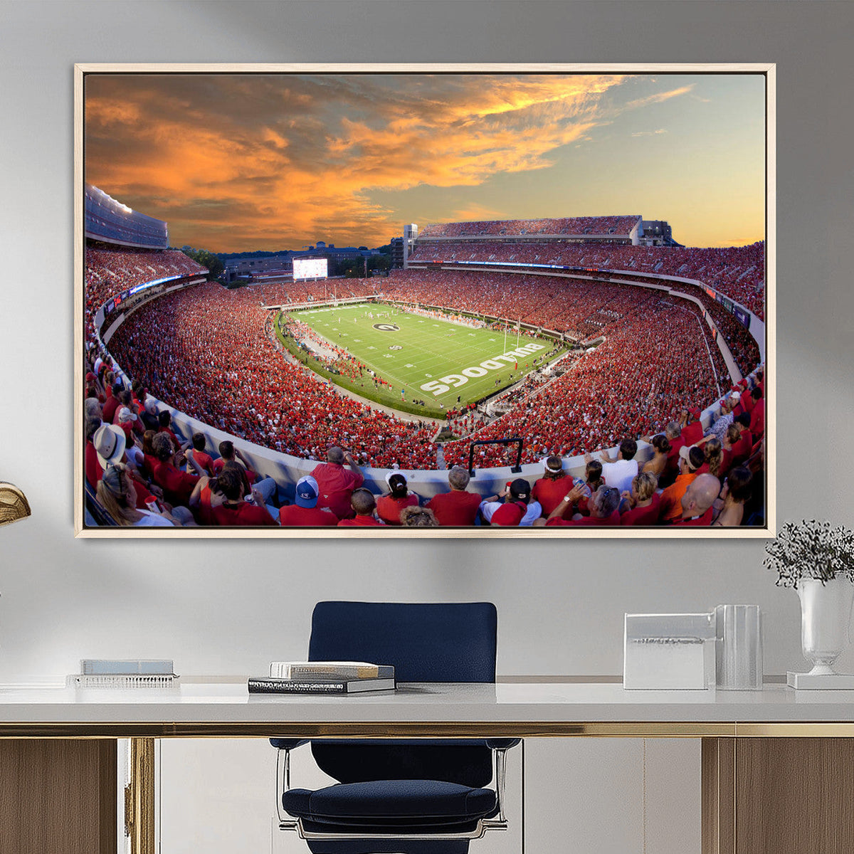 Dooley Stadium Wall Art, Sports Arena Canvas Print, Dooley