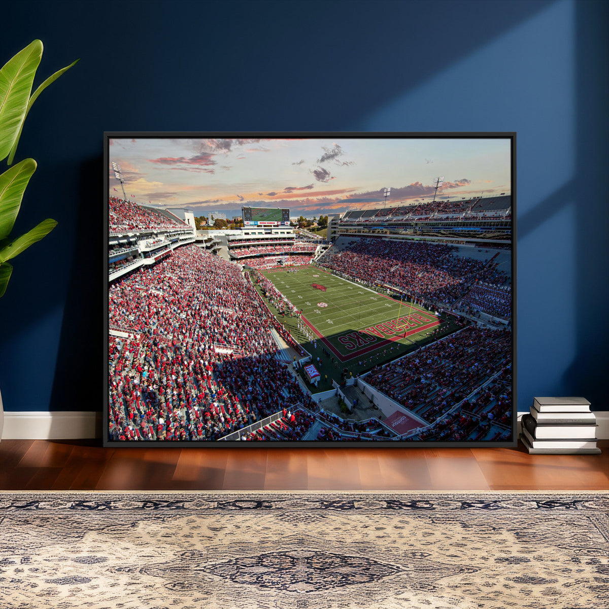 Donald W. Reynolds Razorback Stadium Wall Art Canvas Print –