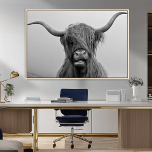 Texas Cow Wall Art Canvas, Texas Longhorn Cattle Canvas