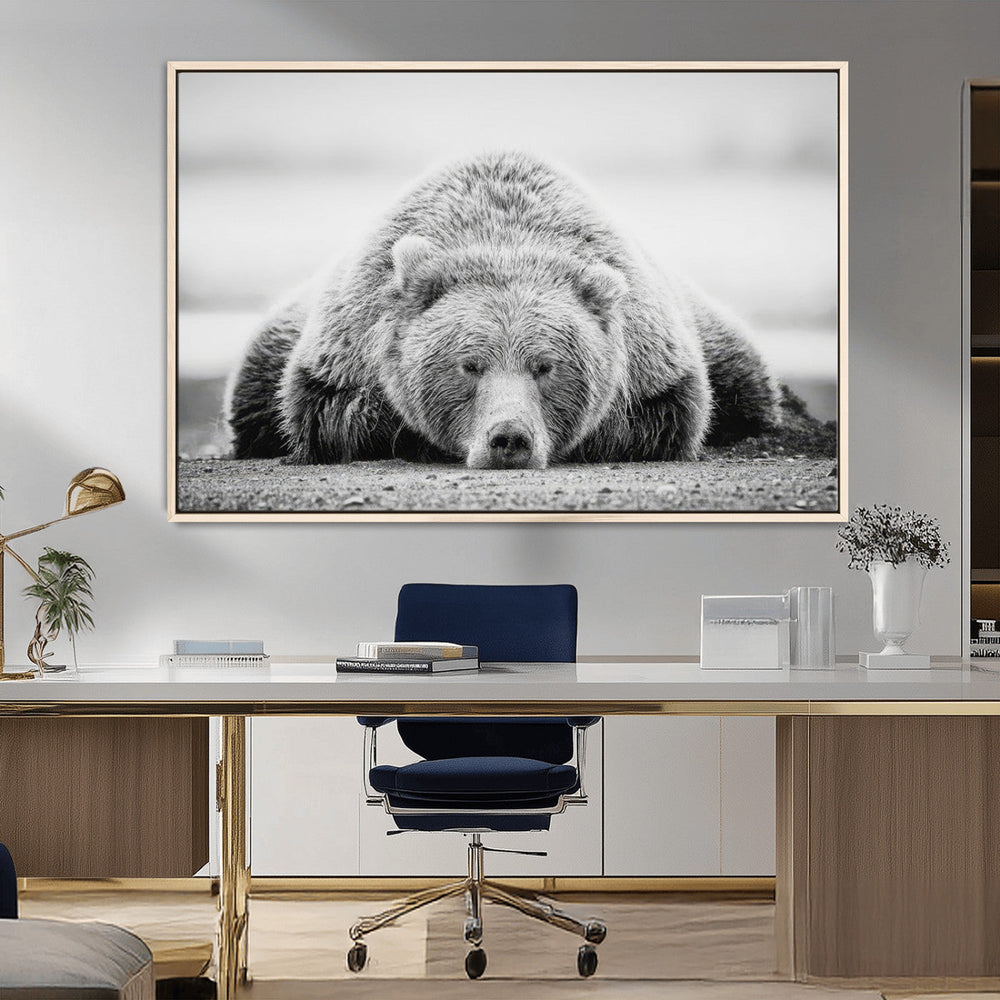 Resting Grizzly Bear Wall Art Canvas Print – Majestic Lazy