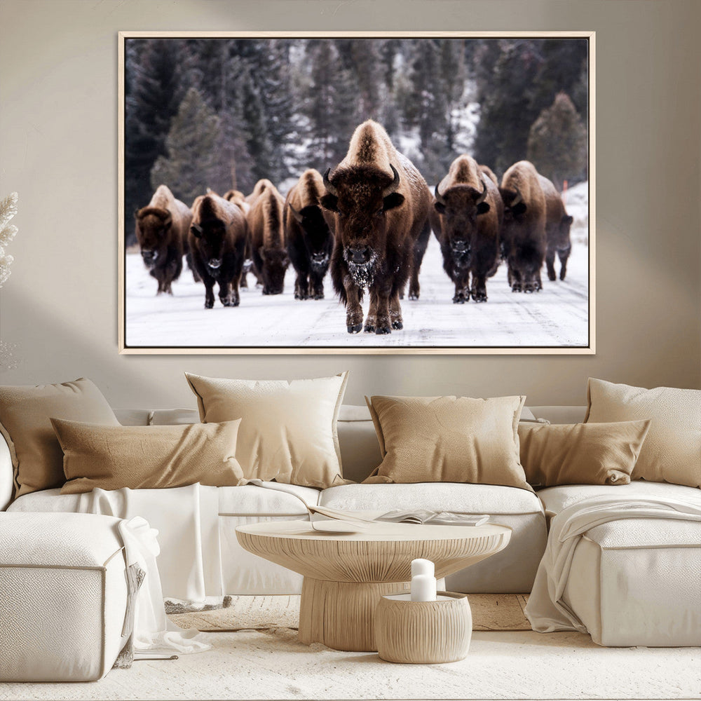 Bison Wall Art Canvas Print- Bison Herd Canvas Wall Art –