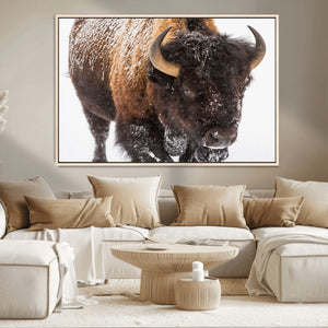 Bison Wall Art Canvas Print For Farmhouse, Wild Animal Wall