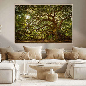 Ancient Angel Oak Tree Art Sunburst Canvas Print-