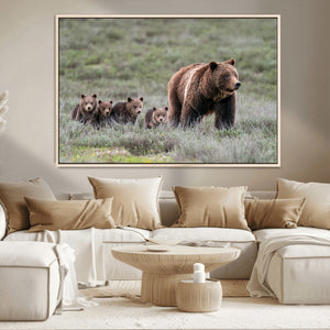 Wildlife Photography of 399 Grizzly Bear Cubs | Queen of the