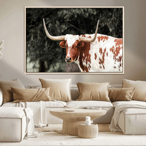 Texas Longhorn Wall Art Canvas Print – Framed Spotted Bull