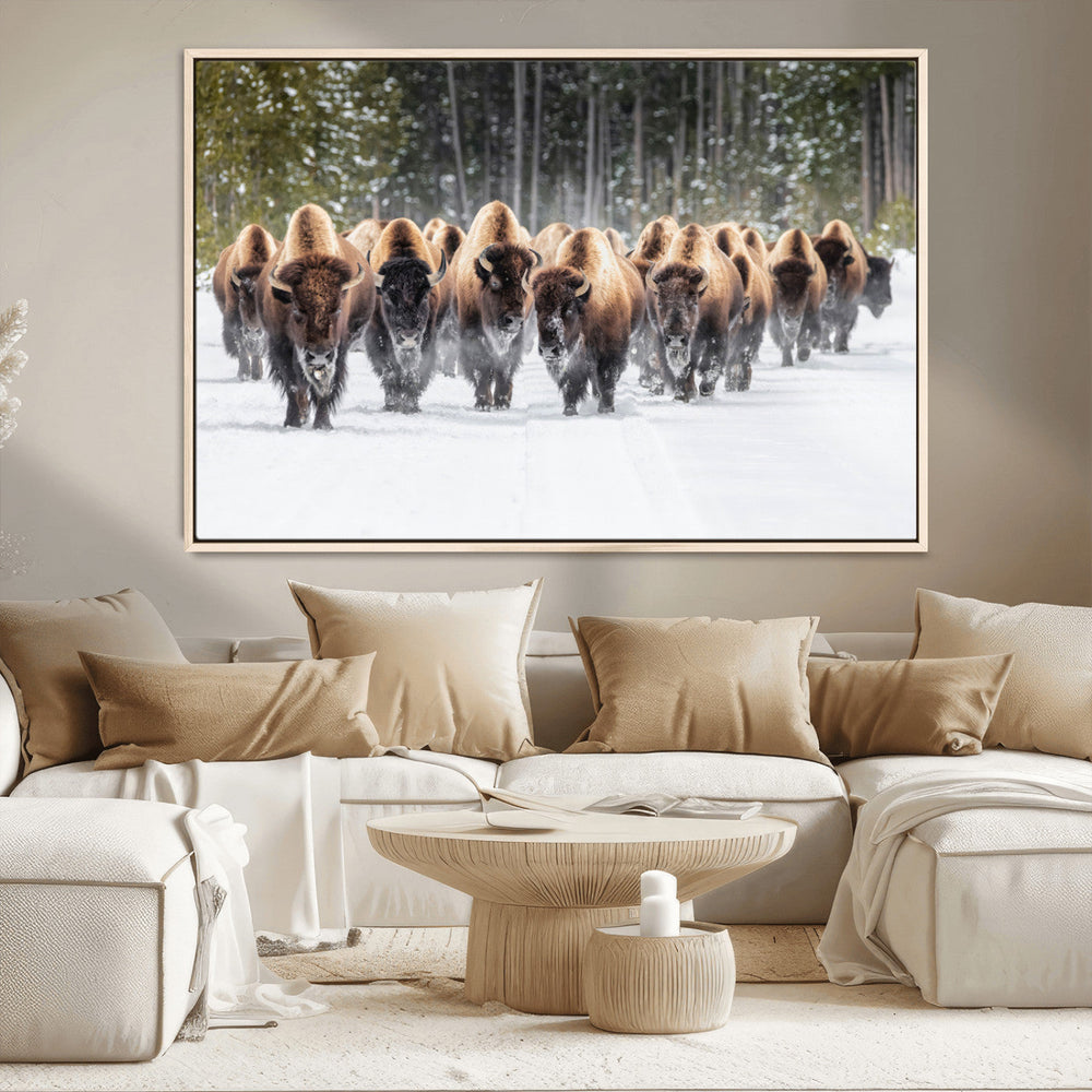American Bison Herd Wall Art Canvas Print – Powerful Winter