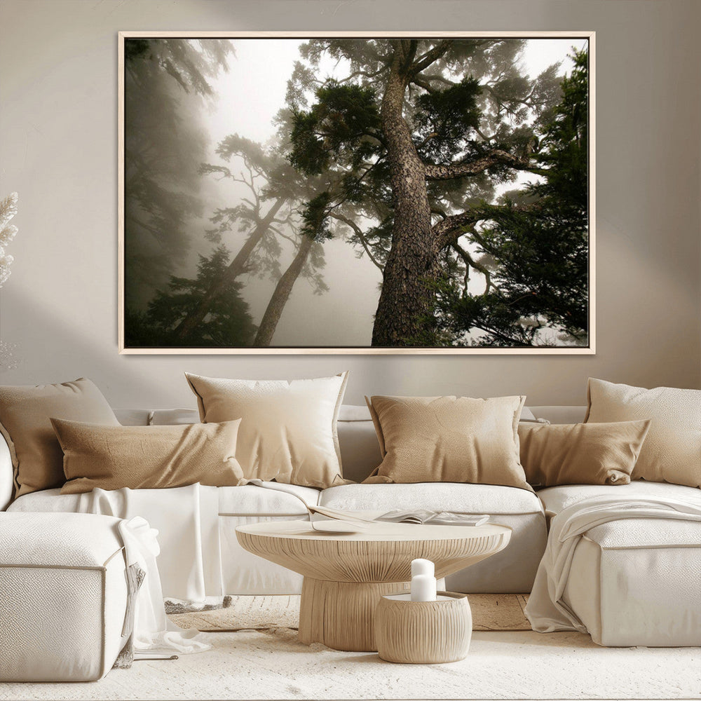 Misty Forest Wall Art Canvas Print, Tall Trees and Foggy