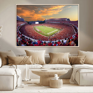Dooley Stadium Wall Art, Sports Arena Canvas Print, Dooley