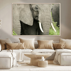 Wild Elephant Wall Art Canvas Print