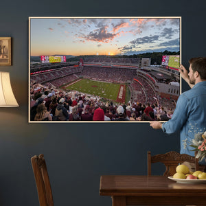 Donald W. Reynolds Razorback Stadium Wall Art Canvas Print –