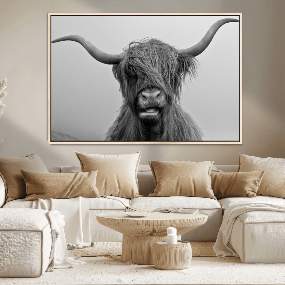 Texas Cow Wall Art Canvas, Texas Longhorn Cattle Canvas
