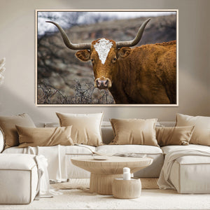Texas Longhorn Canvas Wall Art - Longhorn Steer Canvas Wall