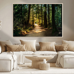 Sunlit Forest Pathway Canvas Print | 3 Panel Large Nature