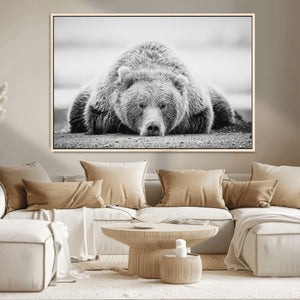 Resting Grizzly Bear Wall Art Canvas Print – Majestic Lazy