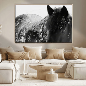 Black Horse in Snow Canvas Print | Winter Horse Wall Art |
