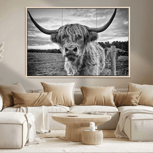 Scottish Highland Cow Wall Art Canvas Print | Ready to Hang