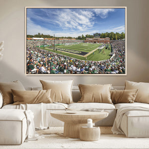 University of Charlotte 49ers Football Team Print -