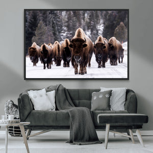 Bison Wall Art Canvas Print- Bison Herd Canvas Wall Art –