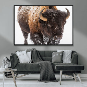 Bison Wall Art Canvas Print For Farmhouse, Wild Animal Wall