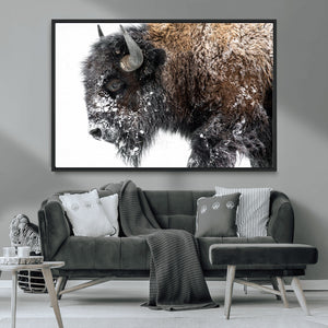 American Bison Wall Art Print – Majestic Buffalo Canvas