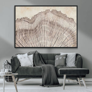 Tree Ring Wall Art Triptych, Rustic Wood Ring Canvas Print,