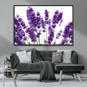 Lavender Flower Wall Art Canvas Print