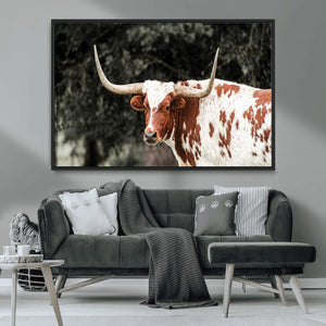 Texas Longhorn Wall Art Canvas Print – Framed Spotted Bull