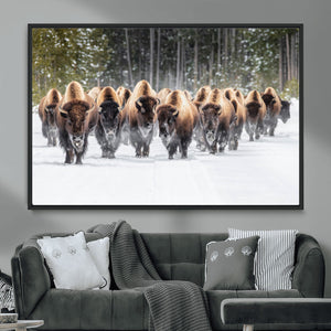 American Bison Herd Wall Art Canvas Print – Powerful Winter