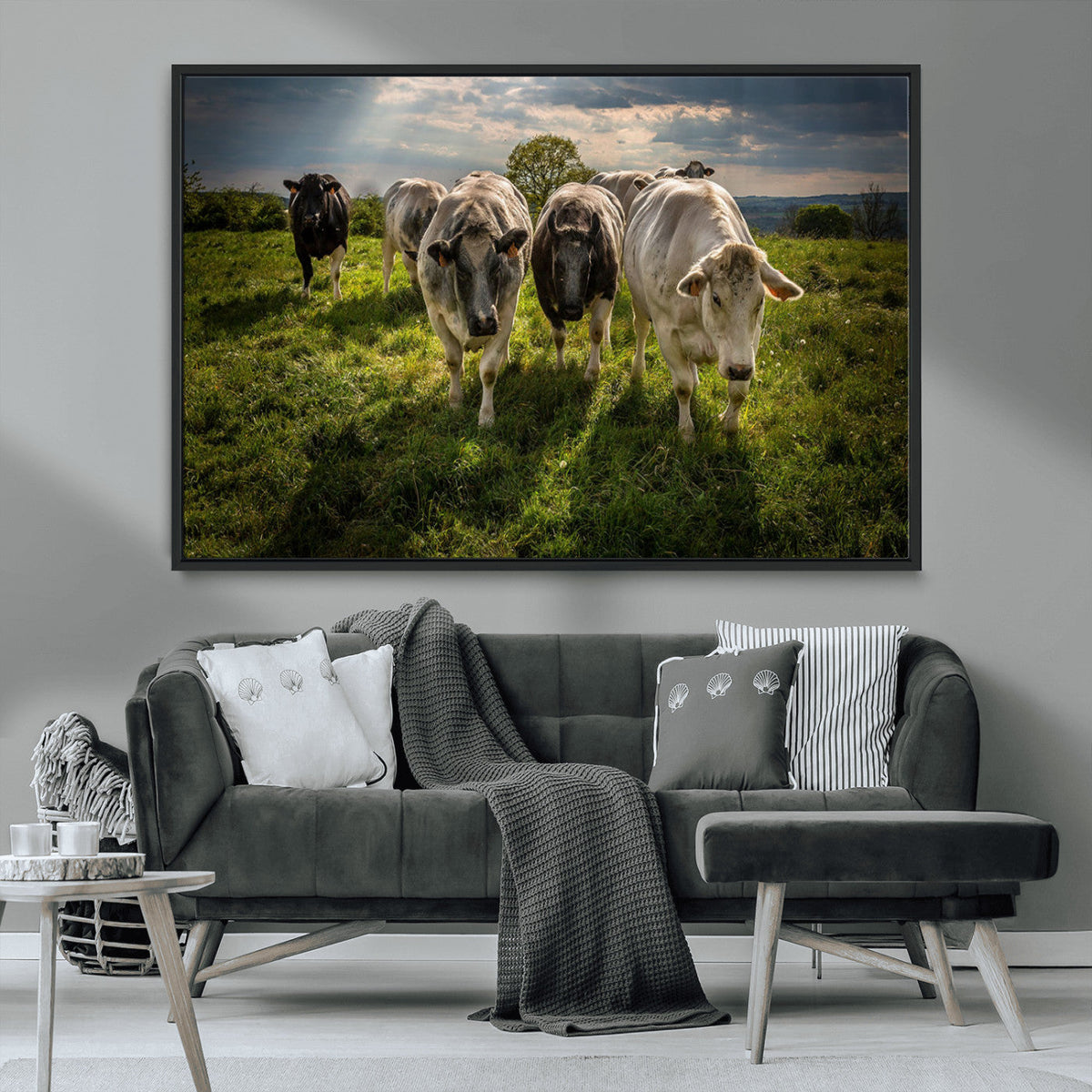Grazing Cattle Herd Pasture Green Field Livestock Natural
