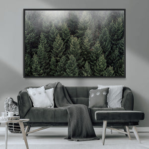 Dense Evergreen Forest Misty Morning Fog Pine Trees Woodland
