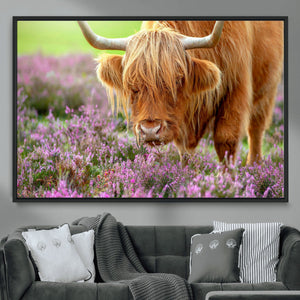 Highland Cow Wall Art Canvas Print – Framed Purple Flowers