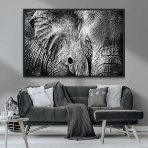 Wild Old Elephant Wall Art Canvas Print