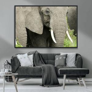 Wild Elephant Wall Art Canvas Print