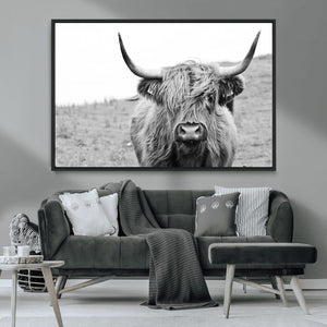 Newfoundland Cow Art Wall Art, Black White Cow Art Wall Art