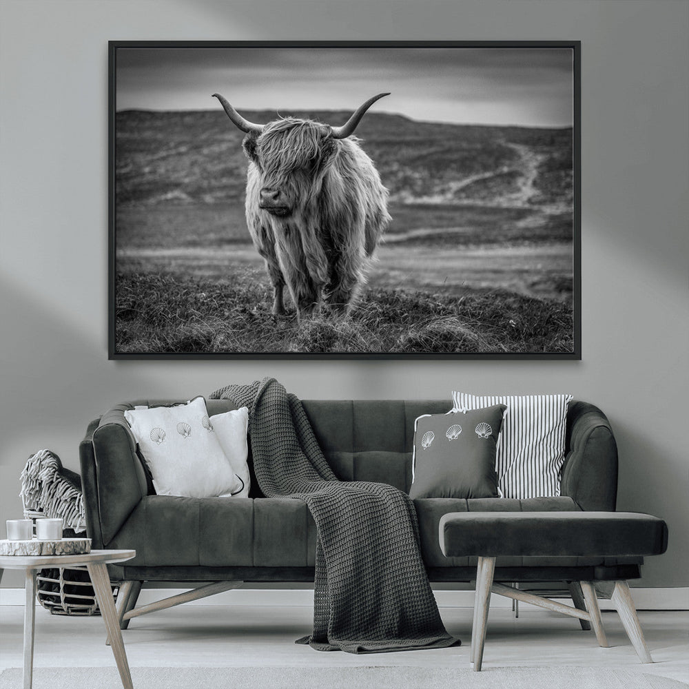Fluffy Cattle Wall Art Print, Highland Cow Canvas, Framed