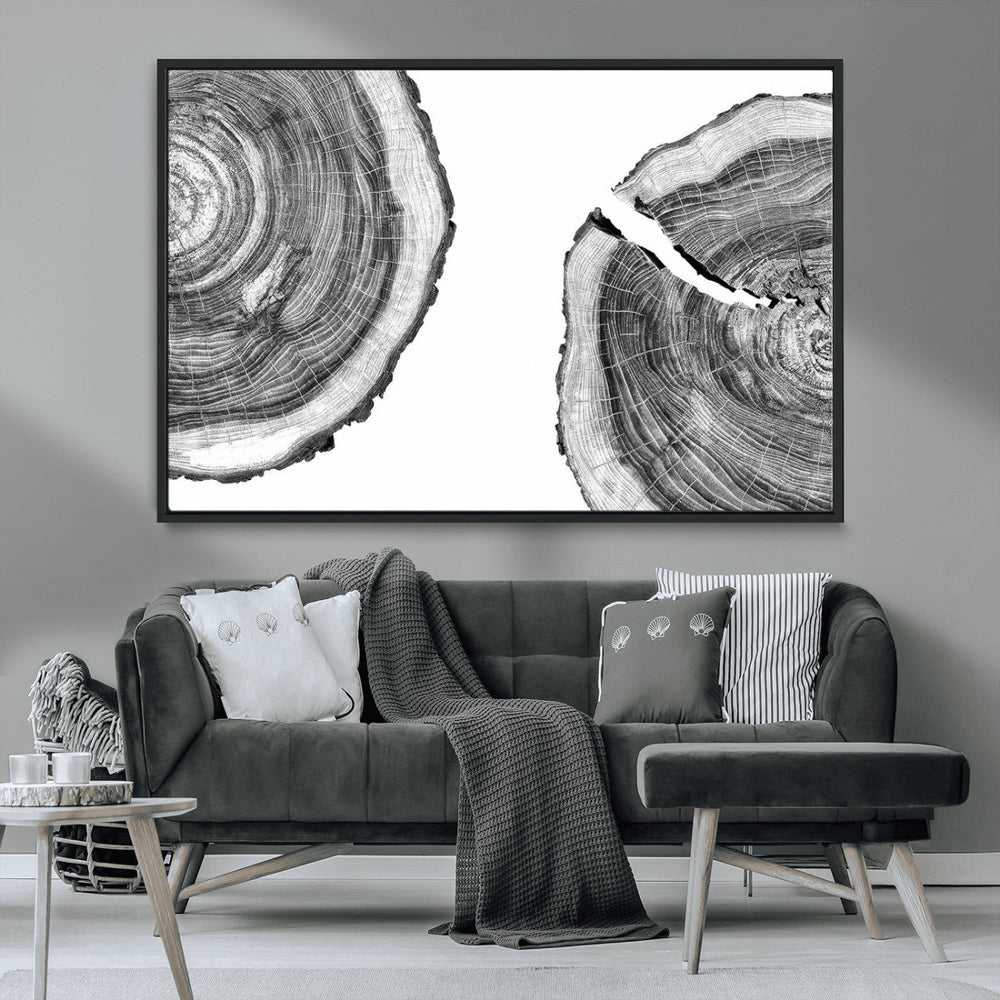 Abstract Large Tree Rings – Minimalist Black and White Wood