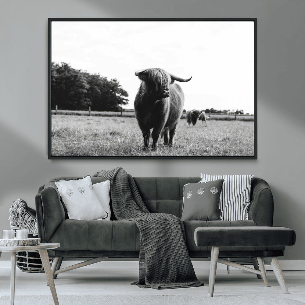 Black and White Highland Cow Wall Art Canvas Print | Rustic