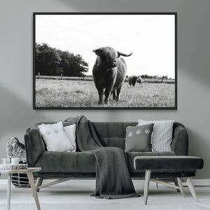 Black and White Highland Cow Wall Art Canvas Print | Rustic