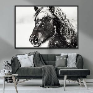 Framed Black and White Horse Wall Art | Ready to Hang and