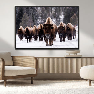 Bison Wall Art Canvas Print- Bison Herd Canvas Wall Art –