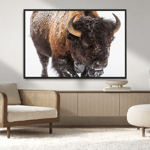 Bison Wall Art Canvas Print For Farmhouse, Wild Animal Wall