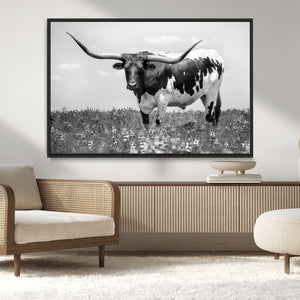 Texas Black White Highland Longhorn Cow Wall Art Canvas
