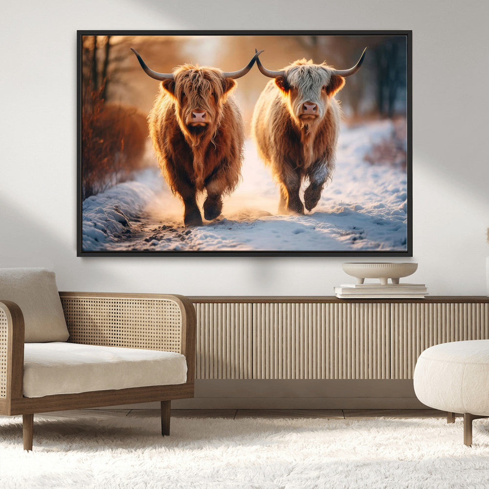 Scottish Highland Cow Horn Farm Wall Art Canvas Print