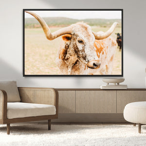 Texas Longhorn Wall Art Canvas Print – Framed Spotted Cow