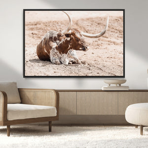 Texas Longhorn Wall Art Canvas Print – Framed Resting Bull
