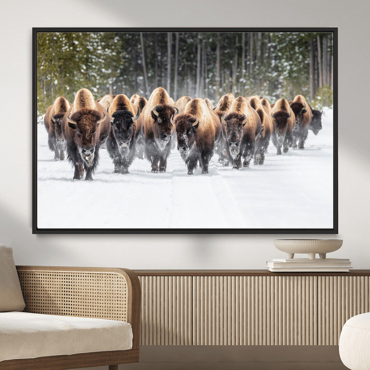 American Bison Herd Wall Art Canvas Print – Powerful Winter