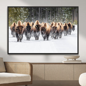 American Bison Herd Wall Art Canvas Print – Powerful Winter